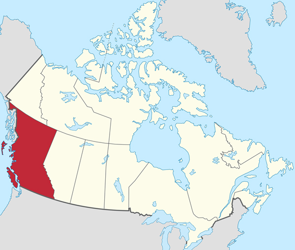 B.C. REGIONAL PILOT