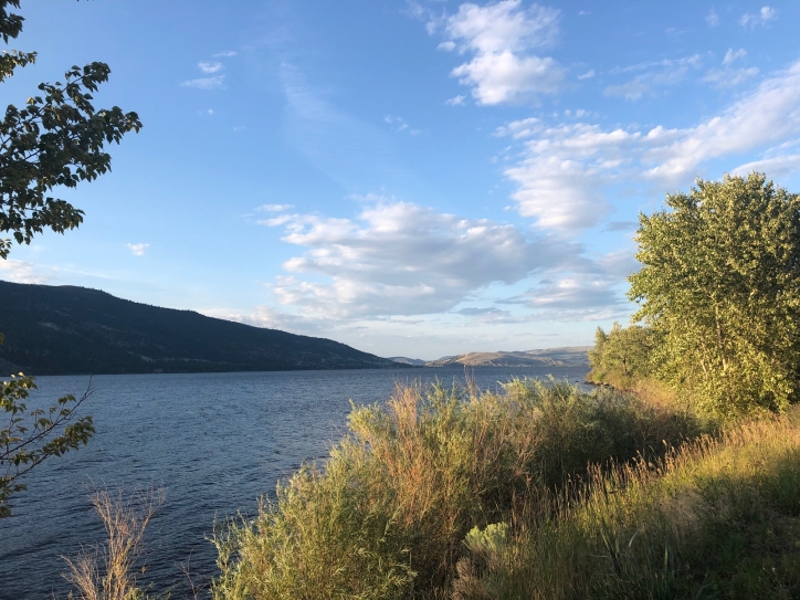 NHỮNG ĐIỀU NÊN BIẾT VỀ ĐỊNH CƯ VÙNG XA RCIP