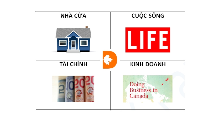 ỔN ĐỊNH HÒA NHẬP CÙNG DTK PARTNERS